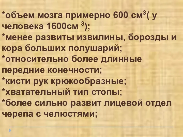 *объем мозга примерно 600 см3( у человека 1600см 3); *менее развиты