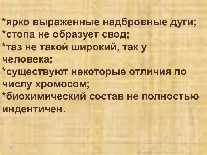 *ярко выраженные надбровные дуги; *стопа не образует свод; *таз не такой