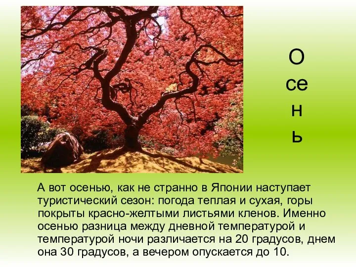 Осень А вот осенью, как не странно в Японии наступает туристический