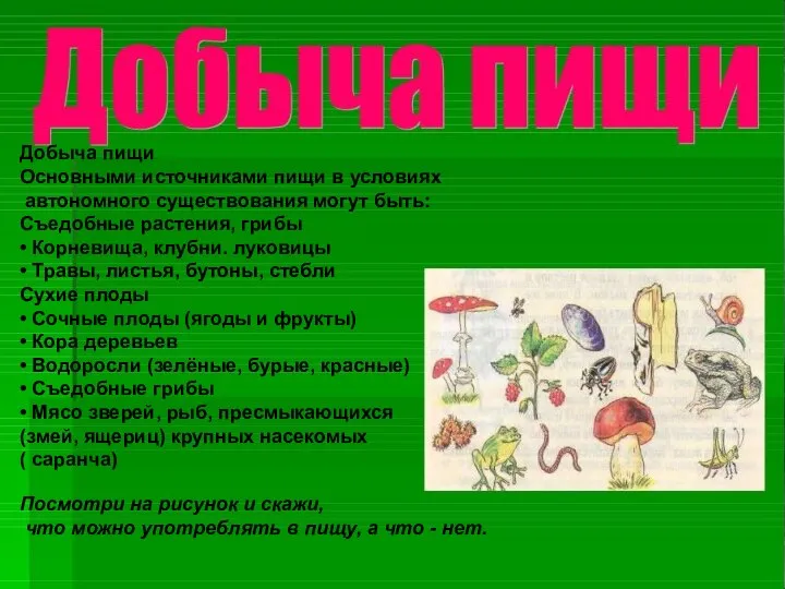 Добыча пищи Основными источниками пищи в условиях автономного существования могут быть: