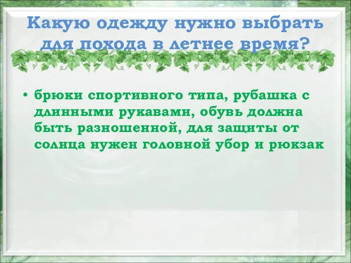 Какую одежду нужно выбрать для похода в летнее время? брюки спортивного