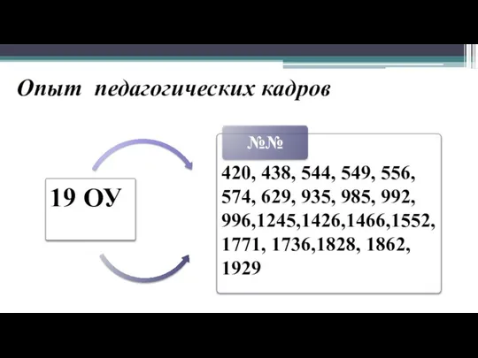 Опыт педагогических кадров 19 ОУ 420, 438, 544, 549, 556, 574,