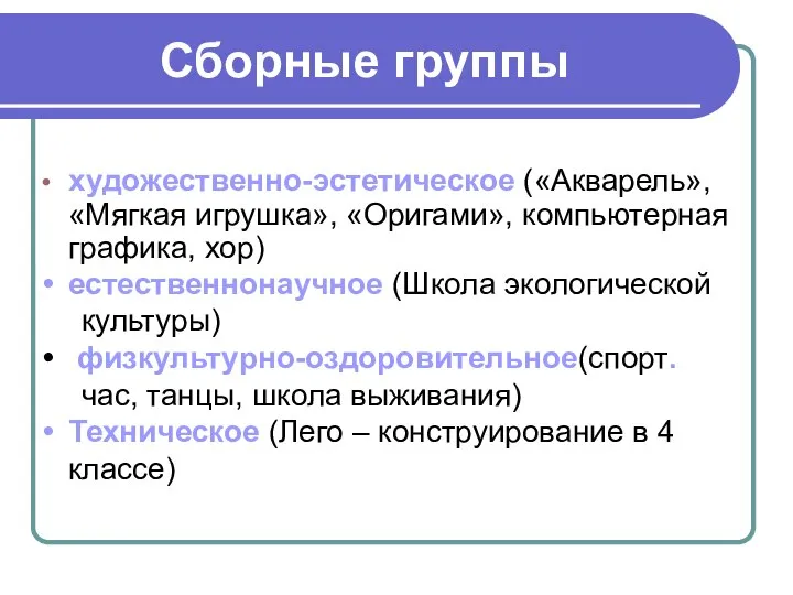 Сборные группы художественно-эстетическое («Акварель», «Мягкая игрушка», «Оригами», компьютерная графика, хор) естественнонаучное