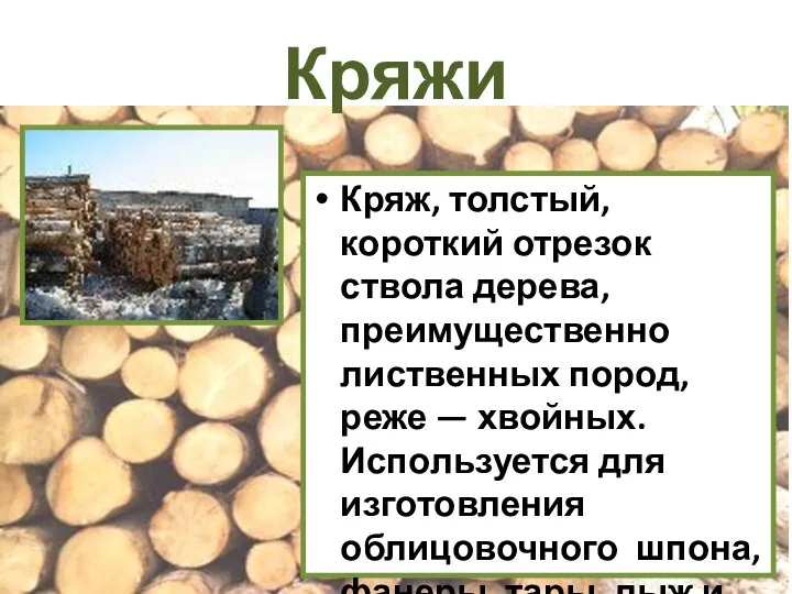 Кряжи Кряж, толстый, короткий отрезок ствола дерева, преимущественно лиственных пород, реже