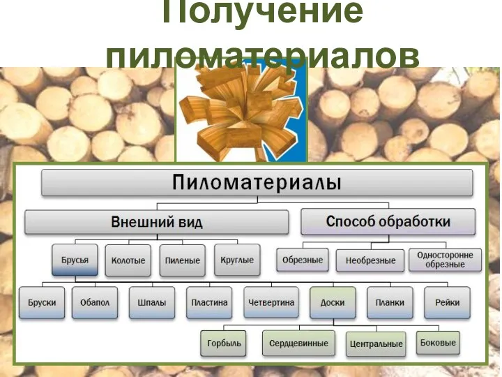 Получение пиломатериалов