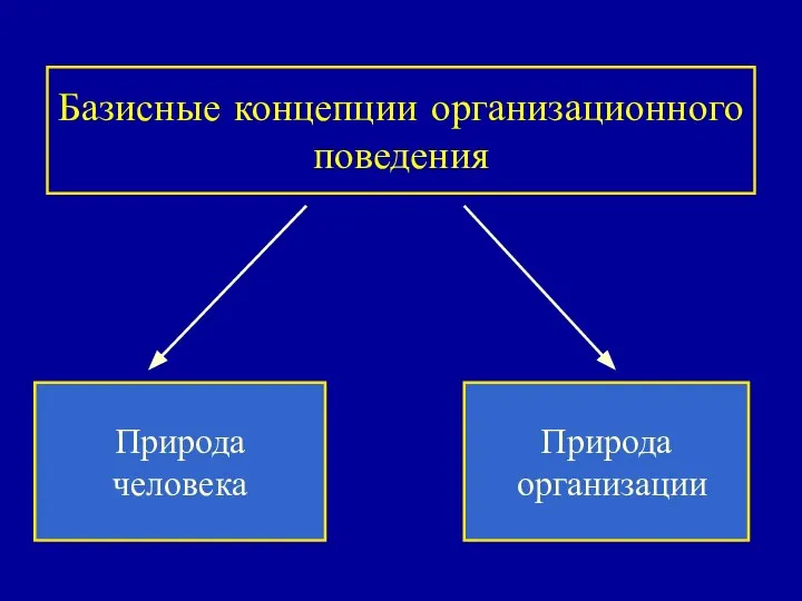 Базисные концепции организационного поведения Природа человека Природа организации