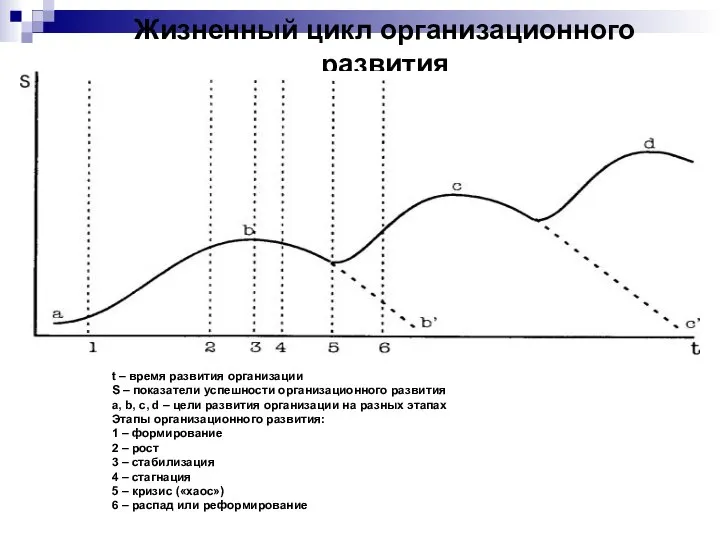 Жизненный цикл организационного развития t – время развития организации S –