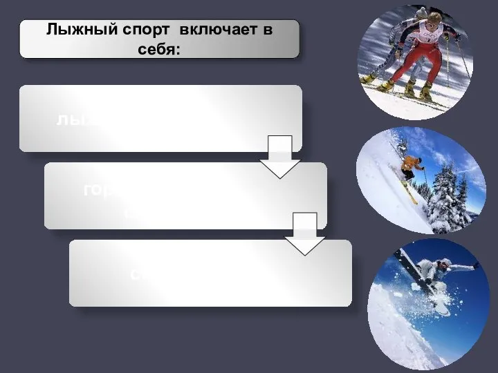 Лыжный спорт включает в себя: