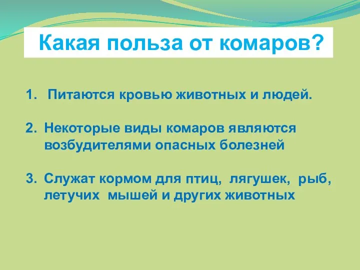 Какая польза от комаров? Питаются кровью животных и людей. Некоторые виды