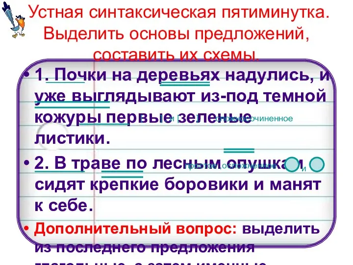 Устная синтаксическая пятиминутка. Выделить основы предложений, составить их схемы. 1. Почки