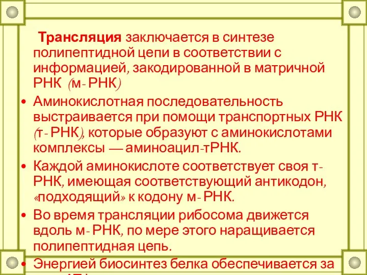 Трансляция заключается в синтезе полипептидной цепи в соответствии с информацией, закодированной