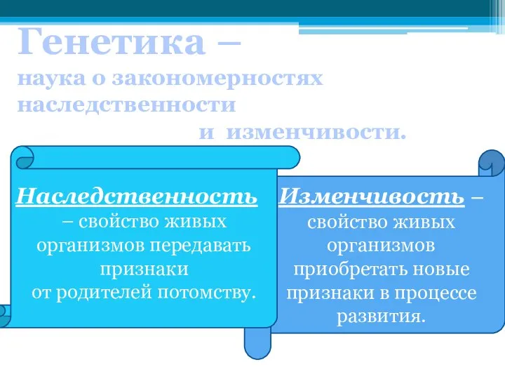 Генетика – наука о закономерностях наследственности и изменчивости. Изменчивость – свойство