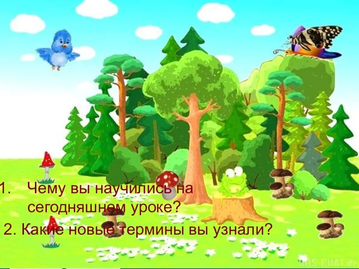 Чему вы научились на сегодняшнем уроке? 2. Какие новые термины вы узнали?