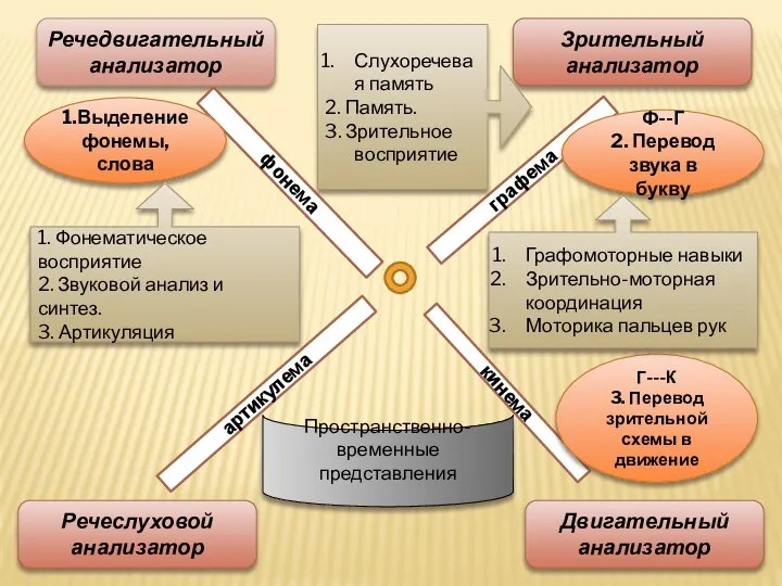 Речедвигательный анализатор Зрительный анализатор Речеслуховой анализатор Двигательный анализатор графема фонема артикулема