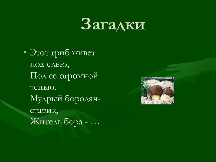 Загадки Этот гриб живет под елью, Под ее огромной тенью. Мудрый бородач-старик, Житель бора - …