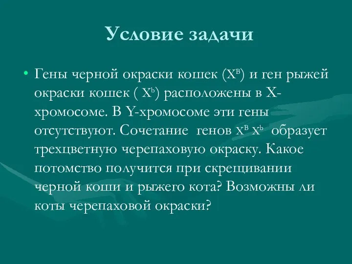 Условие задачи Гены черной окраски кошек (ХВ) и ген рыжей окраски