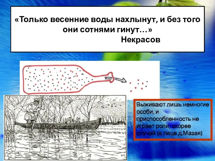 «Только весенние воды нахлынут, и без того они сотнями гинут…» Некрасов