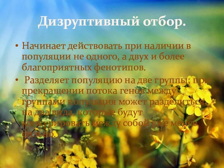 Дизруптивный отбор. Начинает действовать при наличии в популяции не одного, а