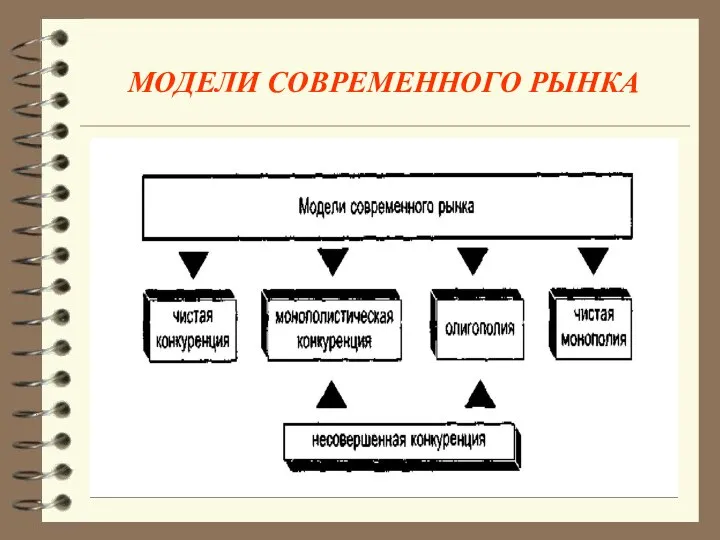 МОДЕЛИ СОВРЕМЕННОГО РЫНКА