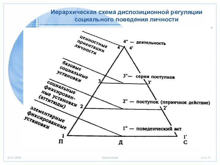 Иерархическая схема диспозиционной регуляции социального поведения личности