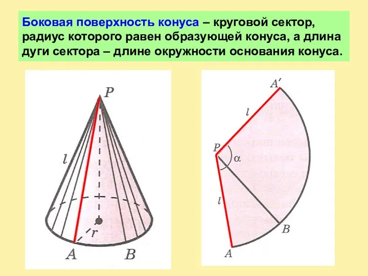 Боковая поверхность конуса – круговой сектор, радиус которого равен образующей конуса,