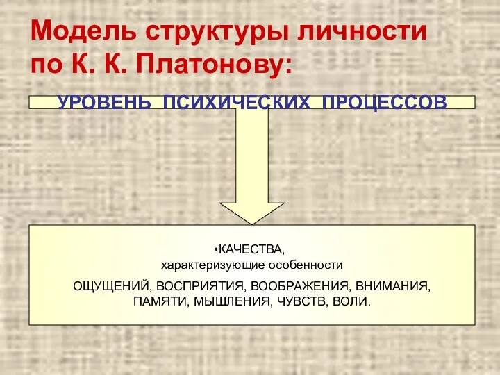 Модель структуры личности по К. К. Платонову: УРОВЕНЬ ПСИХИЧЕСКИХ ПРОЦЕССОВ КАЧЕСТВА,