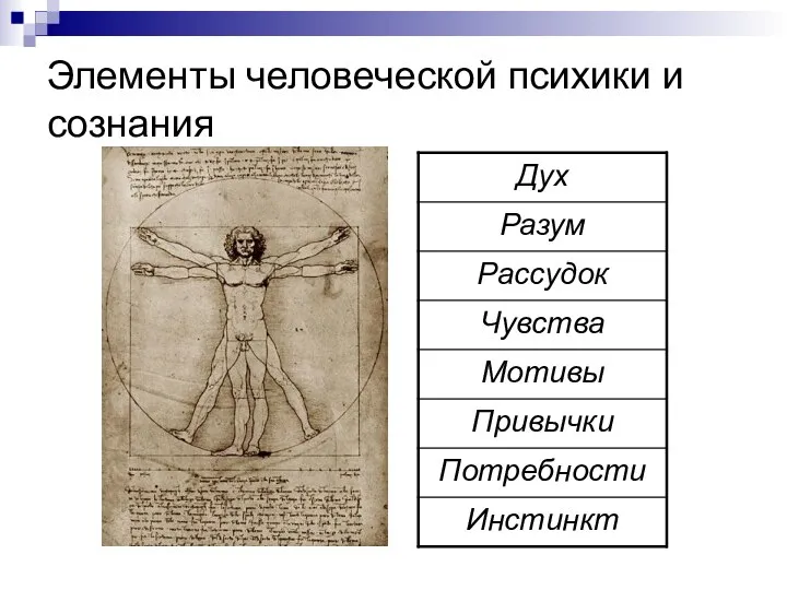 Элементы человеческой психики и сознания