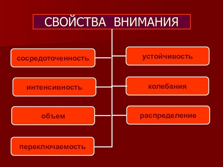 СВОЙСТВА ВНИМАНИЯ сосредоточенность устойчивость интенсивность колебания объем распределение переключаемость