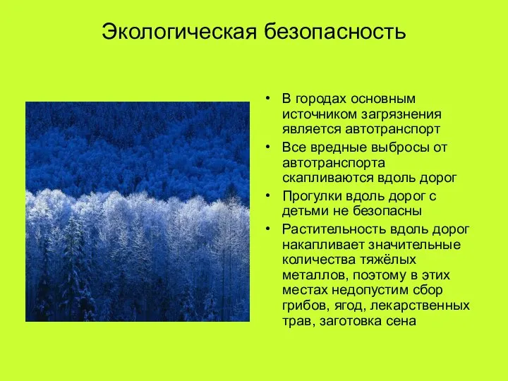 Экологическая безопасность В городах основным источником загрязнения является автотранспорт Все вредные