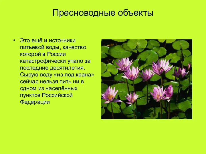 Пресноводные объекты Это ещё и источники питьевой воды, качество которой в