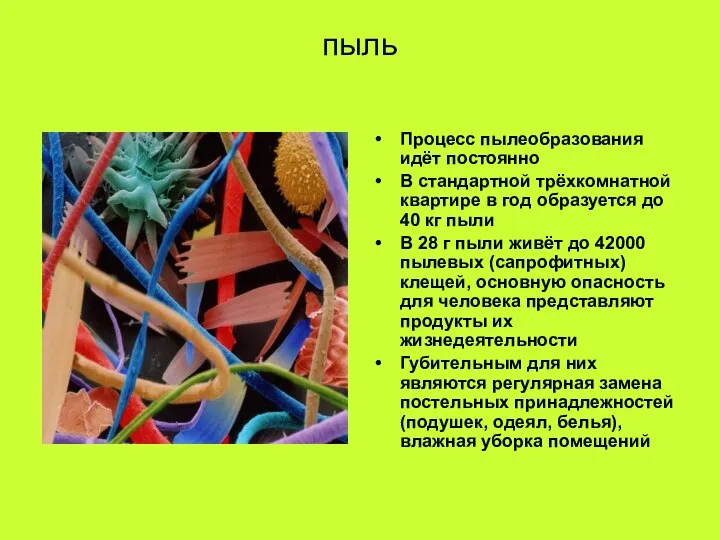 пыль Процесс пылеобразования идёт постоянно В стандартной трёхкомнатной квартире в год