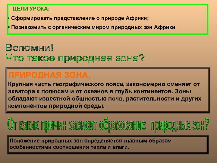 ПРИРОДНАЯ ЗОНА, Крупная часть географического пояса, закономерно сменяет от экватора к