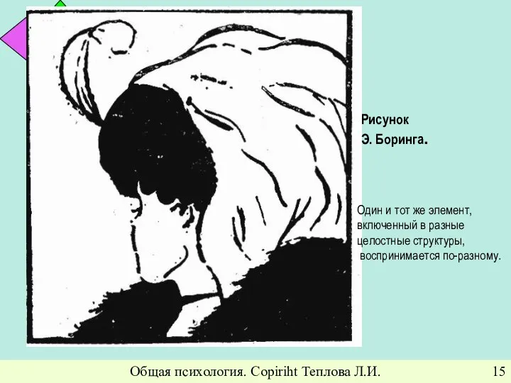 Общая психология. Copiriht Теплова Л.И. Рисунок Э. Боринга. Один и тот