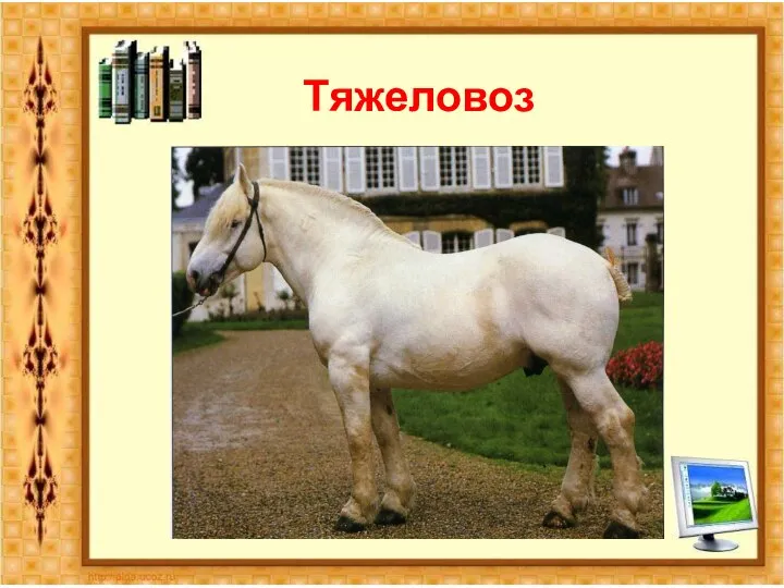 Тяжеловоз