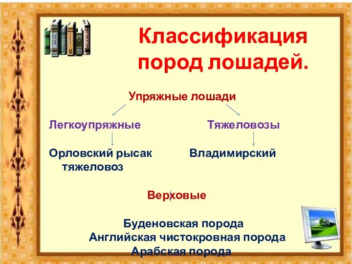 Классификация пород лошадей. Упряжные лошади Легкоупряжные Тяжеловозы Орловский рысак Владимирский тяжеловоз