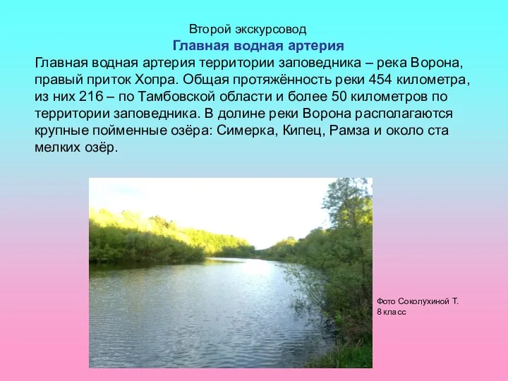 Второй экскурсовод Главная водная артерия Главная водная артерия территории заповедника –