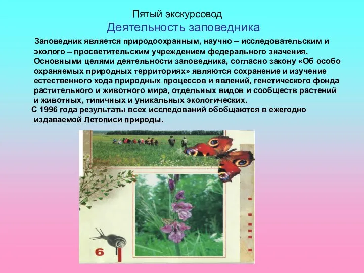 Пятый экскурсовод Деятельность заповедника Заповедник является природоохранным, научно – исследовательским и