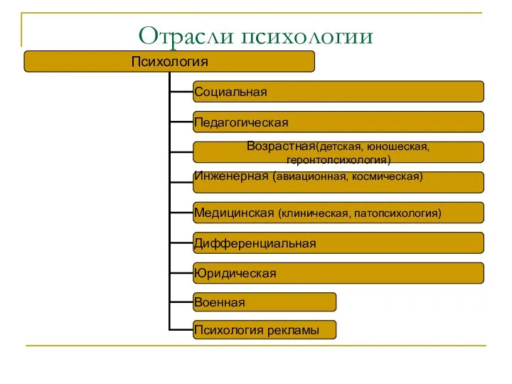 Отрасли психологии