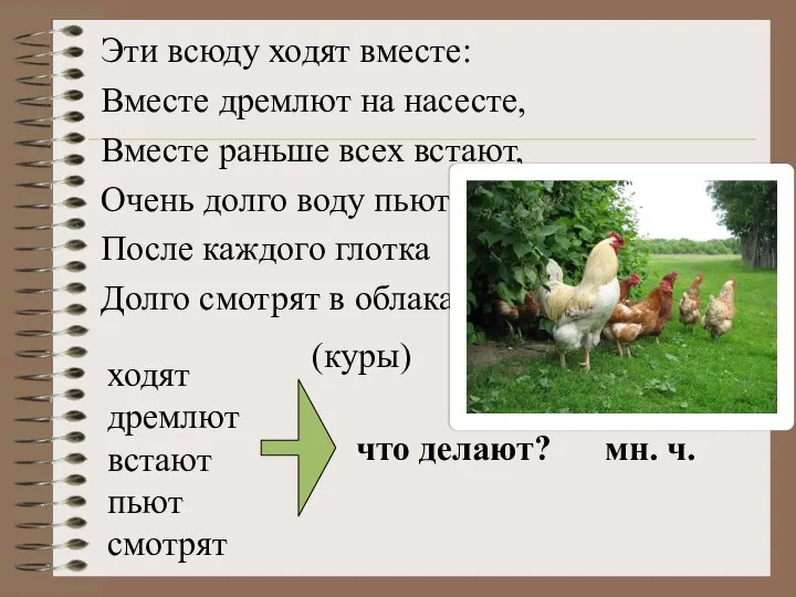 Эти всюду ходят вместе: Вместе дремлют на насесте, Вместе раньше всех