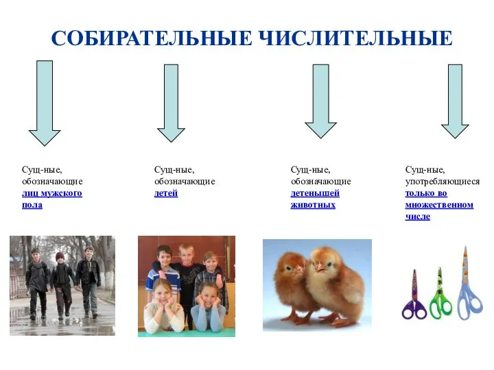 СОБИРАТЕЛЬНЫЕ ЧИСЛИТЕЛЬНЫЕ Сущ-ные, обозначающие лиц мужского пола Сущ-ные, обозначающие детей Сущ-ные,