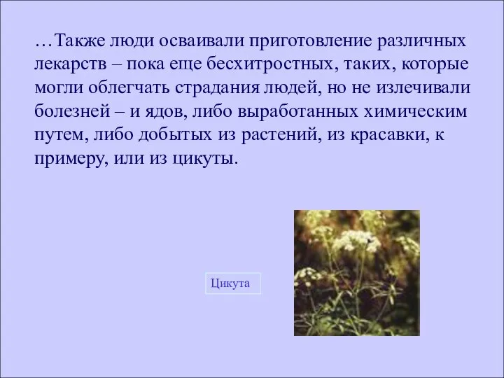 …Также люди осваивали приготовление различных лекарств – пока еще бесхитростных, таких,