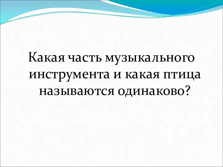 Какая часть музыкального инструмента и какая птица называются одинаково?