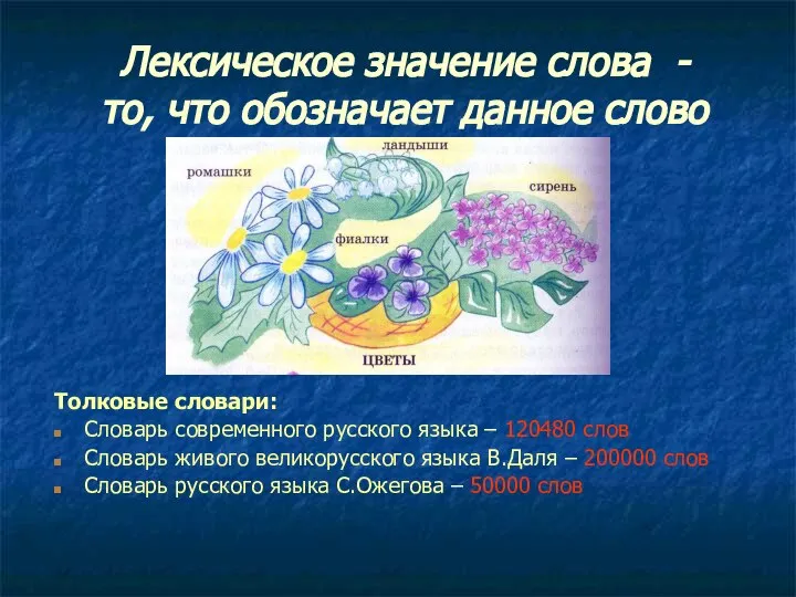 Лексическое значение слова - то, что обозначает данное слово Толковые словари: