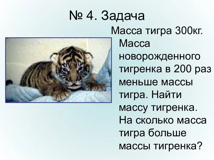 № 4. Задача Масса тигра 300кг. Масса новорожденного тигренка в 200