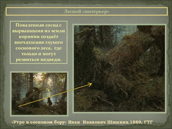 Лесной «интерьер» «Утро в сосновом бору» Иван Иванович Шишкин.1889, ГТГ Поваленная