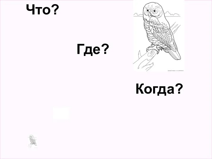 Что? Где? Когда?