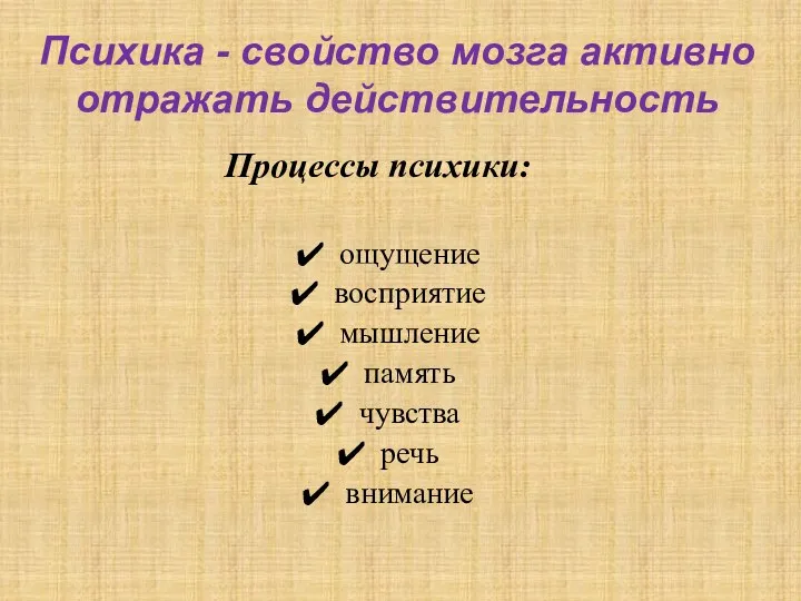 Психика - свойство мозга активно отражать действительность Процессы психики: ощущение восприятие мышление память чувства речь внимание