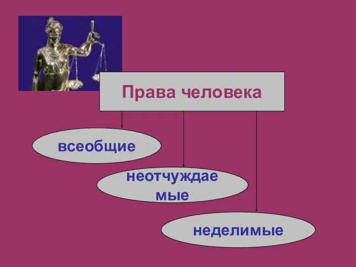 Права человека всеобщие неотчуждаемые неделимые