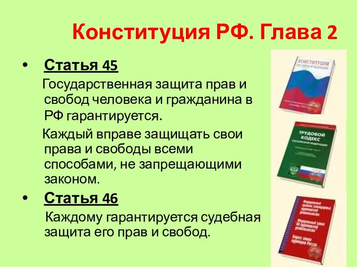 Конституция РФ. Глава 2 Статья 45 Государственная защита прав и свобод