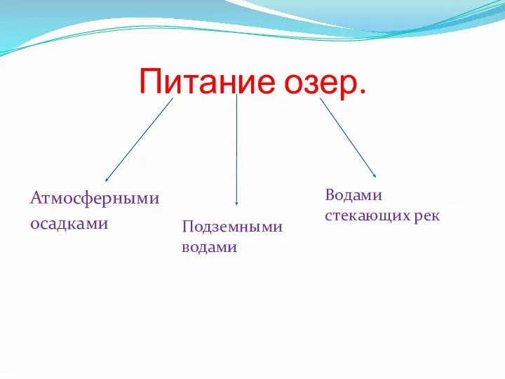 Питание озер. Атмосферными осадками Подземными водами Водами стекающих рек